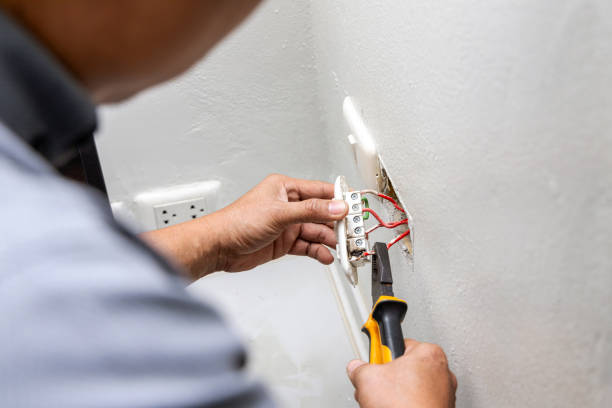 Best Electric Panel Repair  in Saltville, VA